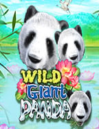 เล่น สล็อต ยัง ไง ให้ ได้ เงิน: เทคนิคทำเงินจากเกม